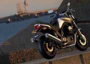 Yamaha BT1100 Bulldog Yamaha BT1100 Bulldog